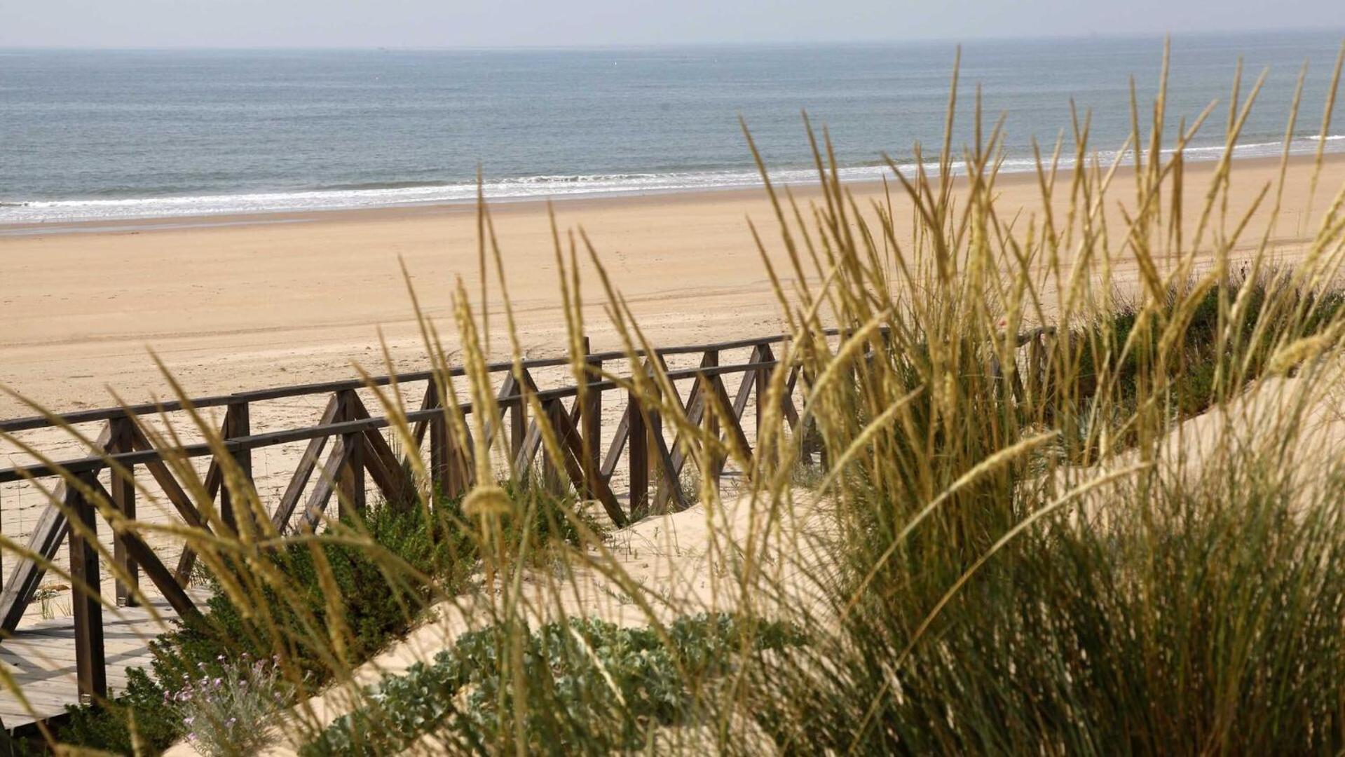 Paqo Lodge Laguna Del Portil, A 400 Metros De La Playa Eksteriør billede